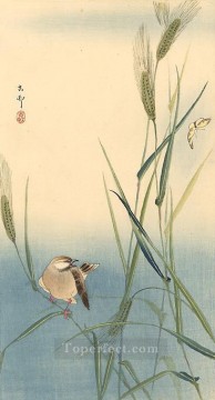 Japanese Painting - songbird on barley stalk Ohara Koson Japanese